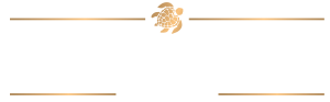Mind & Body Balance Logo